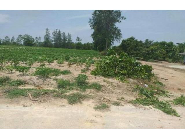 ที่ดิน 29 ไร่ 2 งาน 69 ตรว. เขาหินซ้อน ฉะเชิงเทรา