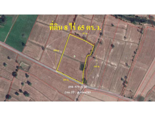 P142 ขายที่ดิน​ 8 ไร่ 65 ตารางวา อำเภอเมืองสุรินทร์ มีลำห้วยใกล้ที่ดินค่ะ