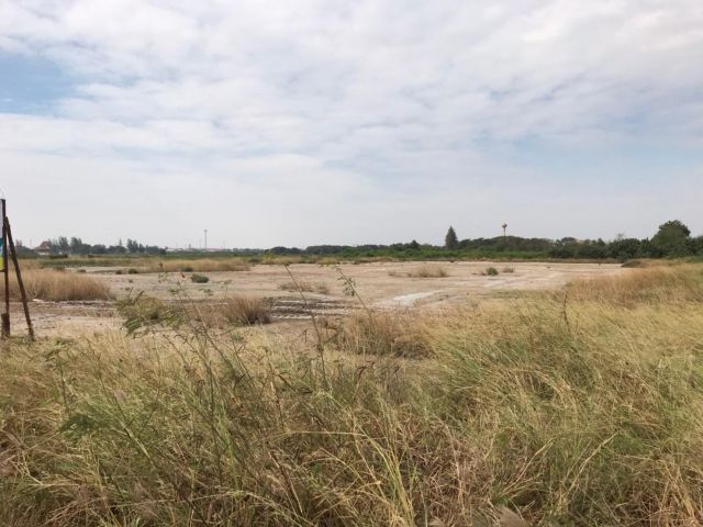 A161 ขายที่ดิน 6-1-81 ไร่ โคกขาม สมุทรสาคร ใกล้ถนนพระราม 2ถมแล้ว ขอ รง.4 ได้ ราคาถูก