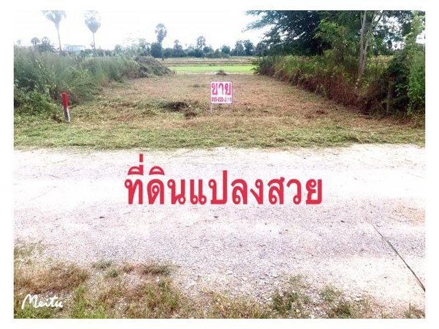 ขายที่ดินใกล้ตัวเมืองเพชรบุรี 40 ตารางวา ราคา250,000 บาท