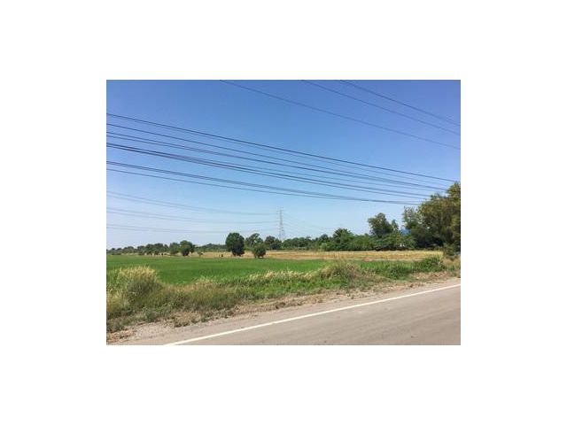 ขายที่ดิน คลอง12 หนองเสือ 10ไร่ ติดถนนลาดยาง
