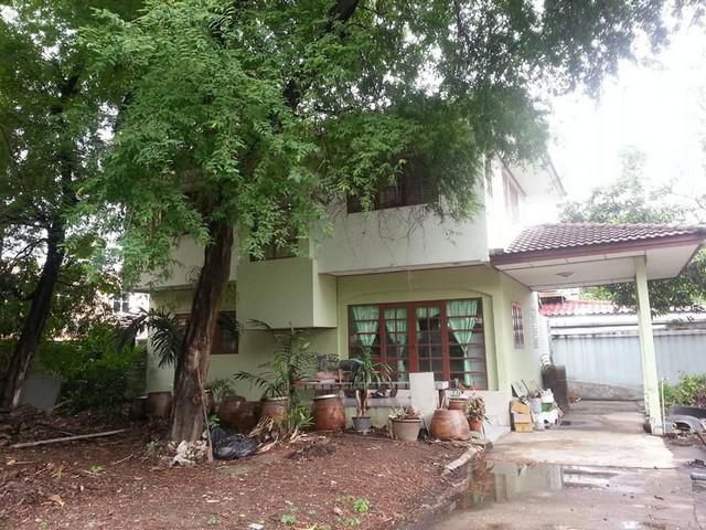 บ้านให้เช่า :  บ้านสุขุมวิท 101/1
