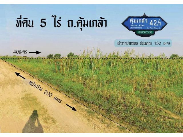 ขายที่ดิน 5 ไร่  ถนนคุ้มเกล้า ต.ลำปลาทิว