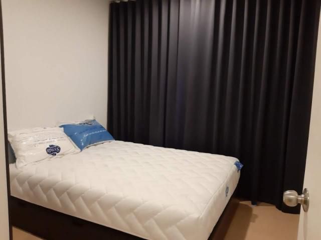 รหัสทรัพย์ A0736 The Tree สุขุมวิท 71 – เอกมัย ห้องสวย พร้อมอยู่ วิวดี