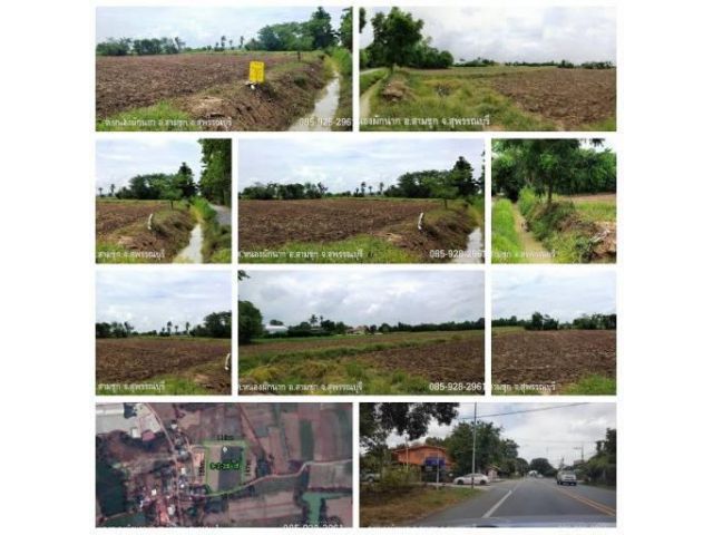 ขายที่ดินโฉนด ต.หนองผักนาก อ.สามชุก จ.สุพรรณบุรี
