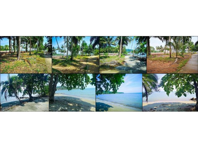 ขายที่ดินสวยติดทะเล ติดถนน อ. หลังสวน จ. ชุมพร