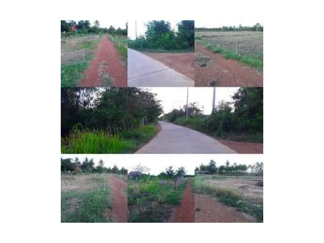 ขายที่ดิน 1 ไร่สวยๆ อยู่ในหมู่บ้าน ห่างถนนคอนกรีต 200 เมตร