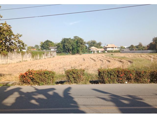 ที่ดินหนองจ๊อม