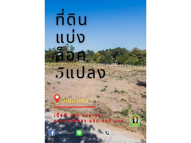 ที่ดินแบ่งล็อค 5 แปลง แปลงละ 490,000 บาท บ้านบัวเทิง วาริน