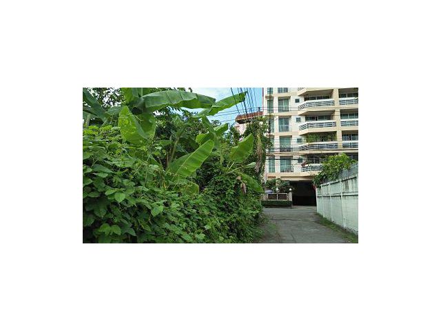 ให้เช่าที่ดิน101ตรว. ทำเลดี ที่ดินมีสภาพมีต้นไม้ปกคลุมเต็มติดถนนในซอย