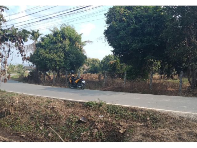 ที่ดินติดถนนหนองแหย่ง