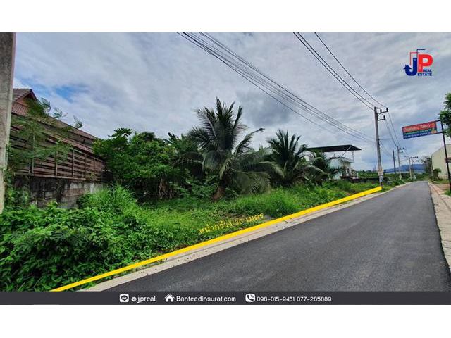 ขาย ที่ดินเปล่า 120.6 ตร.ว. ซ.พ่อขุนทะเล10 สุราษฎร์ธานี ใกล้ห้างโลตัส 5 นาที