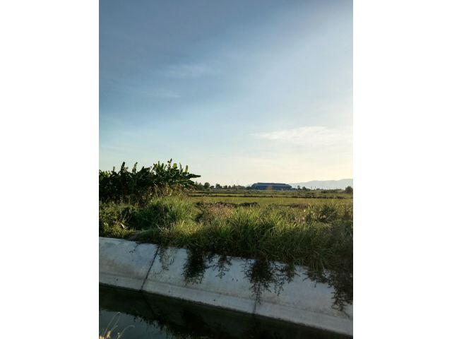 ขายที่ดินทำเลดี 5 ไร่ ไร่ละ 3ล้าน ต.หนองบอนแดง อ.บ้านบึง จ.ชลบุรี