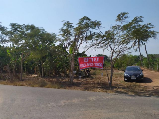 PK53 ขายที่ดิน 11 ไร่ อ. บางน้ำเปรี้ยวพร้อมสวน ราคาถูก ต่อรองได้