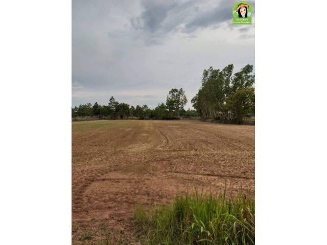 ที่ดินติดถนนทางหลวงชนบท