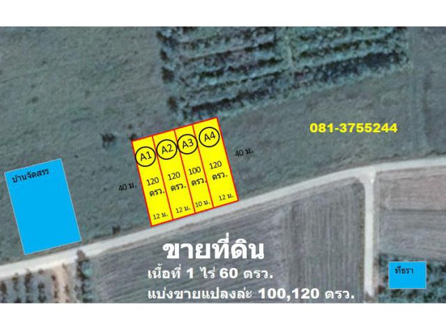 ขายที่ดิน ระยอง แกลง สุนทรภู่ ใกล้ทะเลหาดแม่พิมพ์ 8 นาที ขนาด100 ตรว. ราคาถูกสามารถจับต้องได้