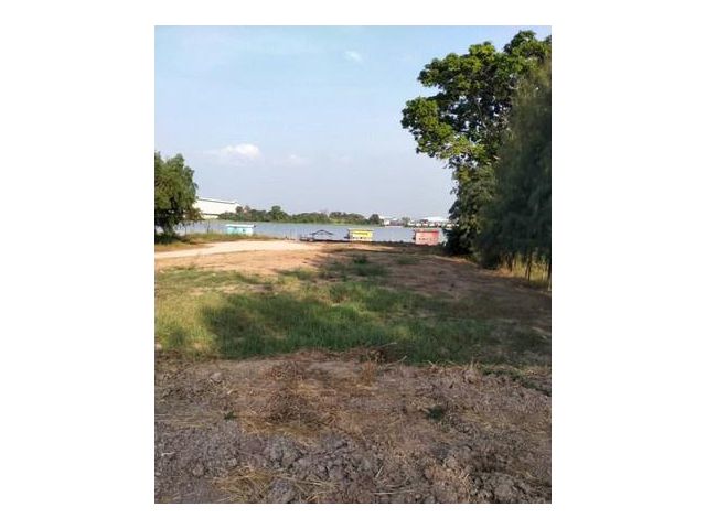 ขาย ที่ดิน พื้นที่สวย ไม่ต้องถม