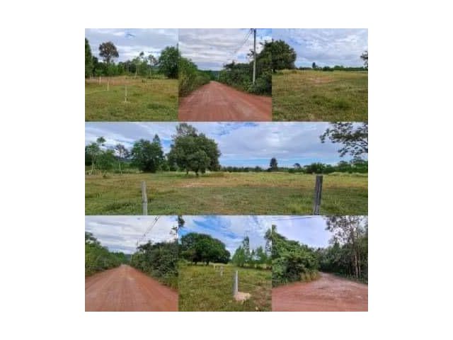 ขายที่ดินติดเขาบรรยากาศดี วิวสวยๆ เนื้อที่ 5 ไร่กว่า