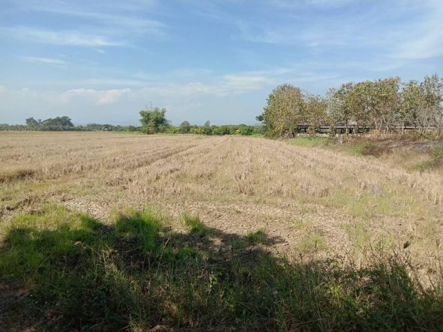 ขายที่ดิน ไร่ล่ะ 270,000 บาท จังหวัดลำพูน