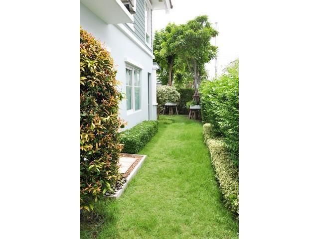 PTM22 ขายบ้านเดี่ยวชัยพฤกษ์ ศรีนครินทร์