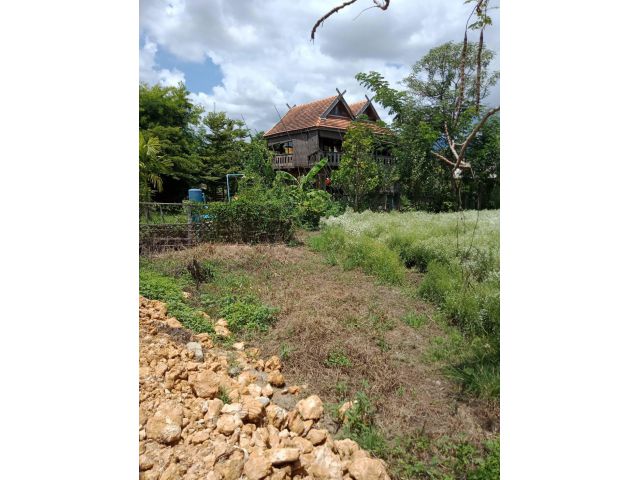 ขายที่ดินดอนตัน เหมืองแก้ว แม่ริม ราคาถูก