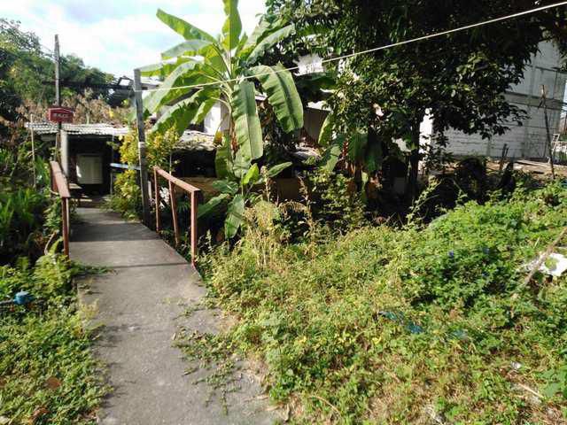 ที่ดิน 103 ตรว. แถมบ้านเก่า ถนนบางกรวย-ไทยน้อย30