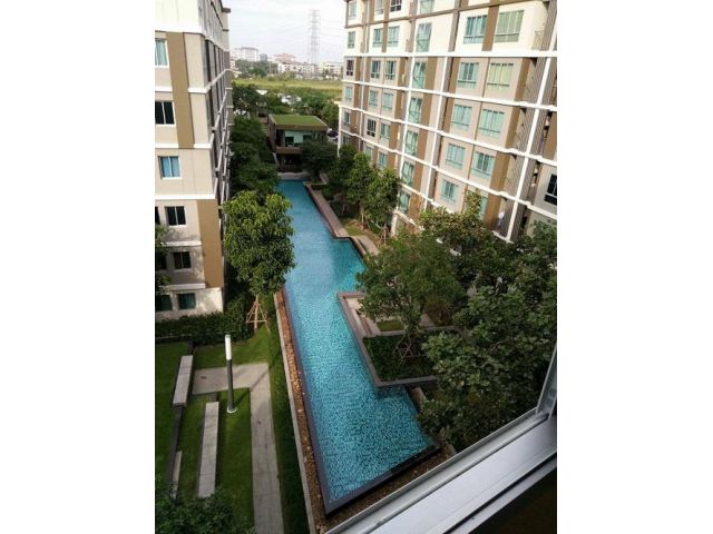 ให้เช่า หรือ ขาย ดีคอนโด แคมปัส รังสิต