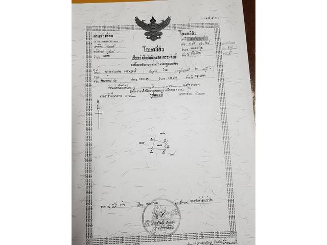 ขายที่ดินดอยสะเก็ด เชียงใหม่ พื้นที่ 175 ตรว.