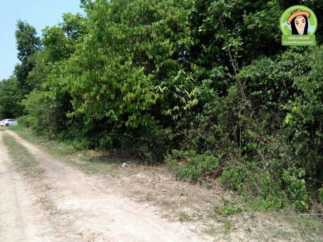 ที่ดิน 131 ตร.ว. ต.บุ่งหวาย/วารินชำราบ  ราคา 250,000 บาท