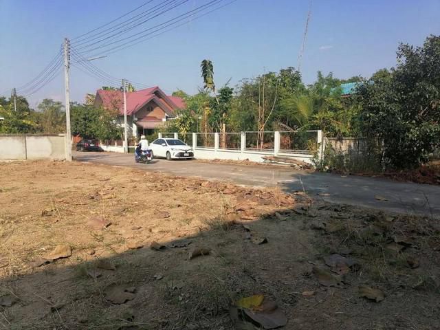 ขายที่ดินแม่ริม 200 ตรว. ที่ดินแปลงสวย ในแม่สา