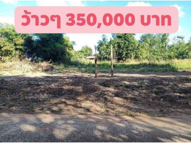 ที่ดินสร้างบ้านแปลงสวย/ บ้านสะเดา จ.ยโสธร