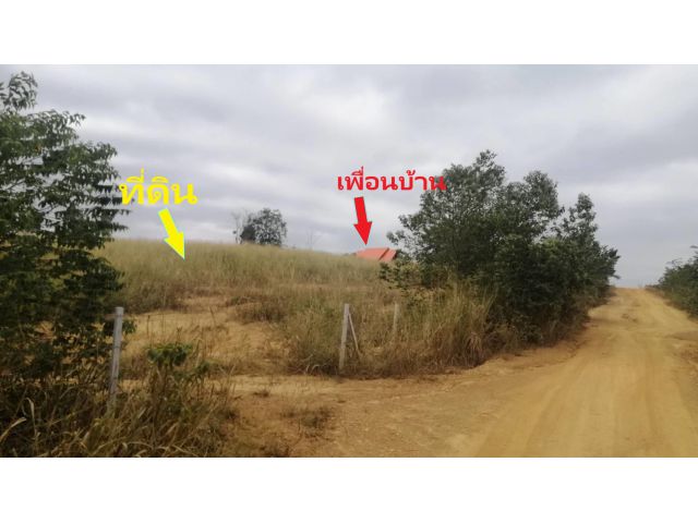 ขายที่ดิน 18-2-0  ไร่ ตำบลวังหมี อำเภอวังน้ำเขียว จังหวัดนครราชสีมา