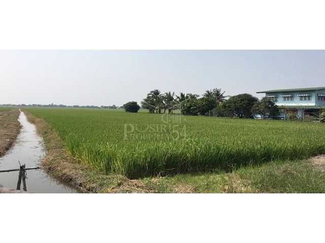 ขายที่ดิน 14 ไร่เศษ ติดถนนเลียบคลอง 4 ใกล้โรงเรียนวัดมงคลพุการาม