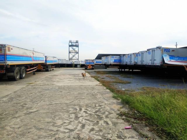 ให้เช่า ที่ดิน 4 ไร่ สามโคก เชียงราก  ถมเรียบร้อย ผืนสวย ห่างจากถนน 347  เพียง 900 ม. มีรั้วรอบ