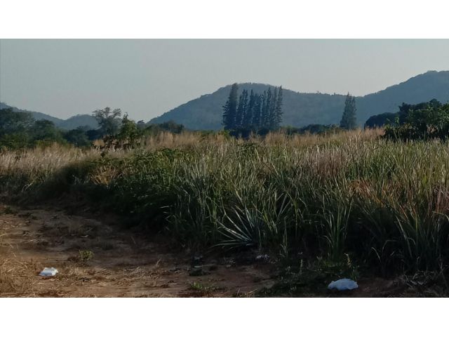 ขายที่ดินเกษตร 25 ไร่ บนเนิน ชายเขา ท็อปวิว เสีย ภาษีที่ อบต.