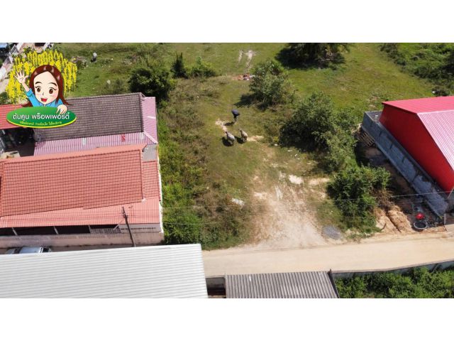 ขายที่ดิน โซนวาริน ตรงข้ามศูนย์รถยนต์ฮอนด้า ในซอยไม้ข้างตก