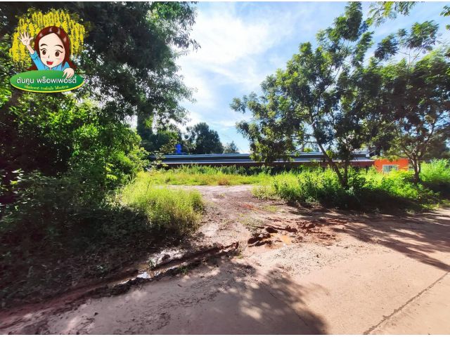 ขายที่ดิน​ หลังอนามัย​ 10  ใกล้ม.อุบล