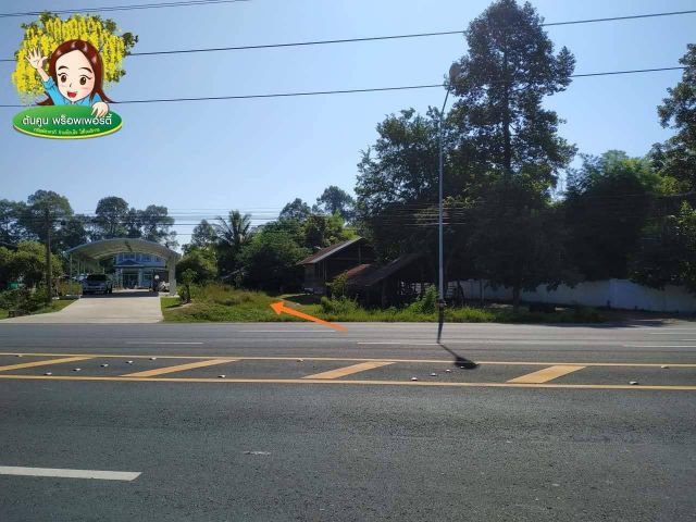 ขายที่ดิน ติดถนนอุบล-ตระการ ฝั่งขาเข้า ตรงข้าม อบต.ไร่น้อย