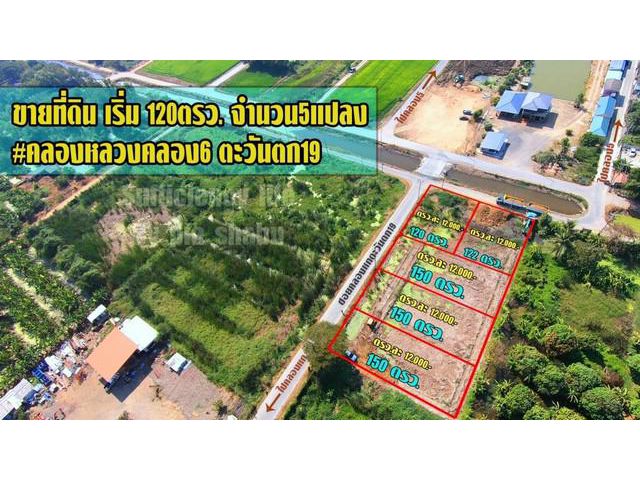 ขายที่สวยทำเลดี คลอง 6 จำนวน 5 แปลง
