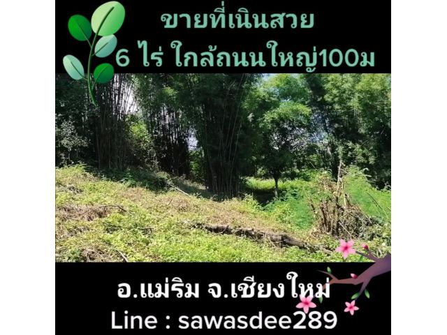 ขายที่ดินแม่ริม ใกล้ถนน(107)เพียง 100 ม. เนื้อที่ 6-2-66 ไร่ ราคาไร่ละ 1.7ล้าน