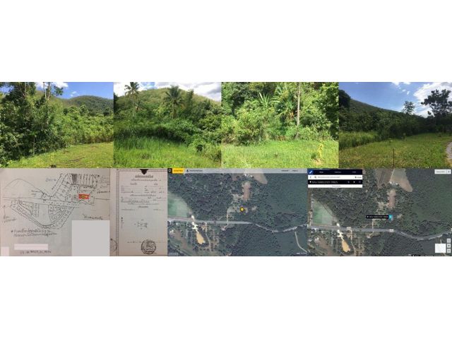 ให้เช่า ที่ดิน ใกล้น้ำตก 342 ตร.วา อ.ปากช่อง  โคราช