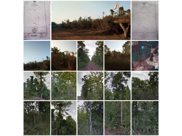 ที่ดินโฉนดสวย 60ไร่2งาน  ติดถนน2ด้าน