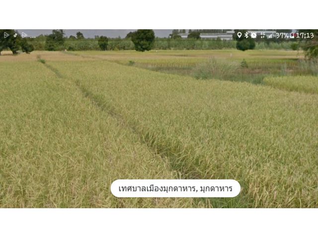 ขายที่ดินเมืองมุกดาหาร เนื้อที่ 10-0-43ไร่ ใกล้ไทวัสดุมุกดาหาร