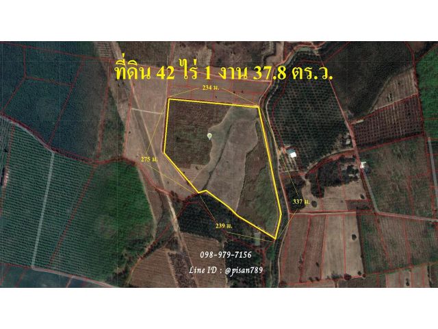 P195 ขายที่ดิน 42 ไร่ 1 งาน 37.8 ตร.ว.อำเภอพนมสารคาม ฉะเชิงเทรา ใกล้นิคมอุตสาหกรรมเกตเวย์