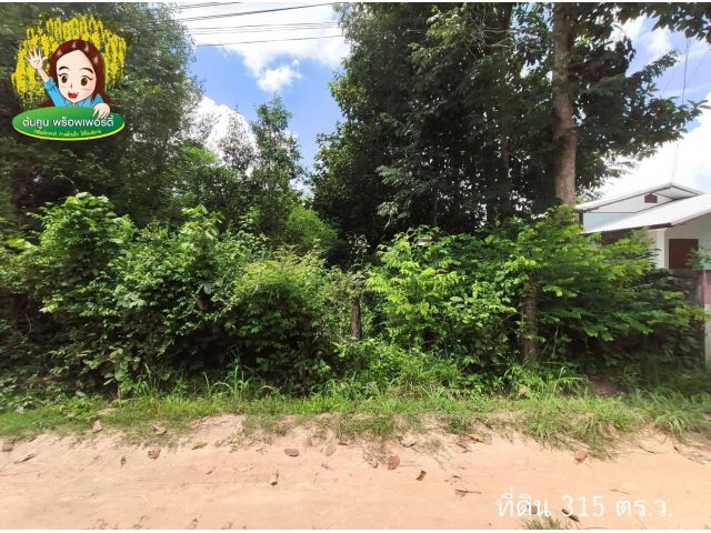 ขายที่ดิน บ้านบุ่งไหม ใกล้ รพ.ค่ายสรรพสิทธิประสงค์ วารินชำราบ