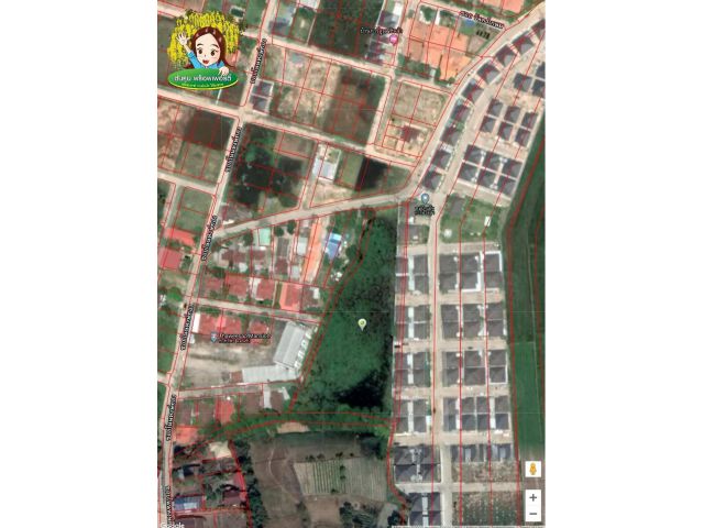 ขายที่ดิน​ 4-2-89 ไร่​ ใกล้แยกโนนหงษ์​ทอง เมืองอุบล