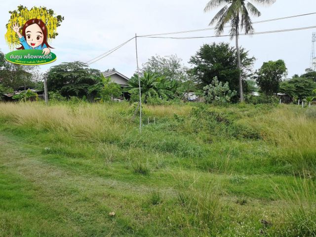 ขายที่ดินสำหรับสร้างบ้าน ซอยทุ่งหว้า ตรงข้ามศูนย์เบนซ์