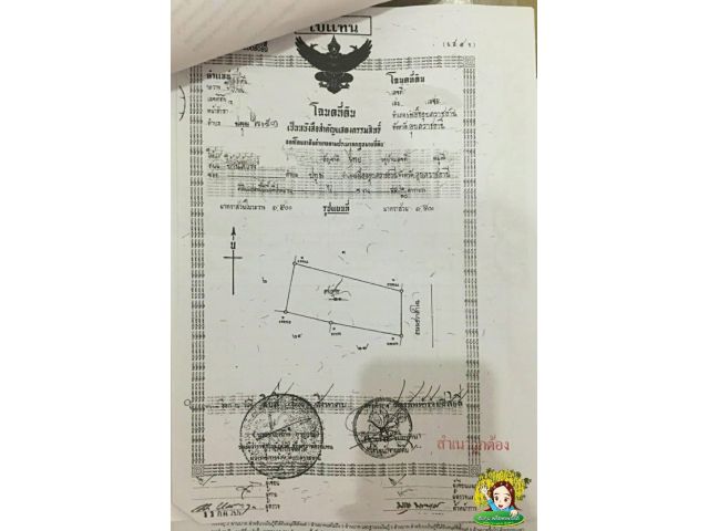 ขายที่ดินพร้อมอาคารและโกดังเก็บของ ที่ดินกลางเมืองอุบล