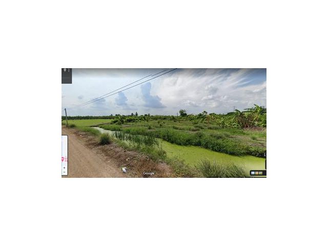 ขายที่ดินคลอง 12 หนองเสือ 500 ตรว