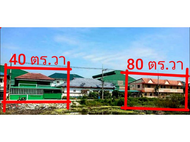 ขายบ้าน ใกล้ตลาดไท จ.ปทุมธานี